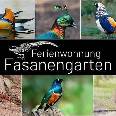 Fasanengarten In Apartment